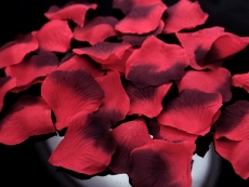 Lupene ruží 500ks - ČERVENO-BORDOVÉ